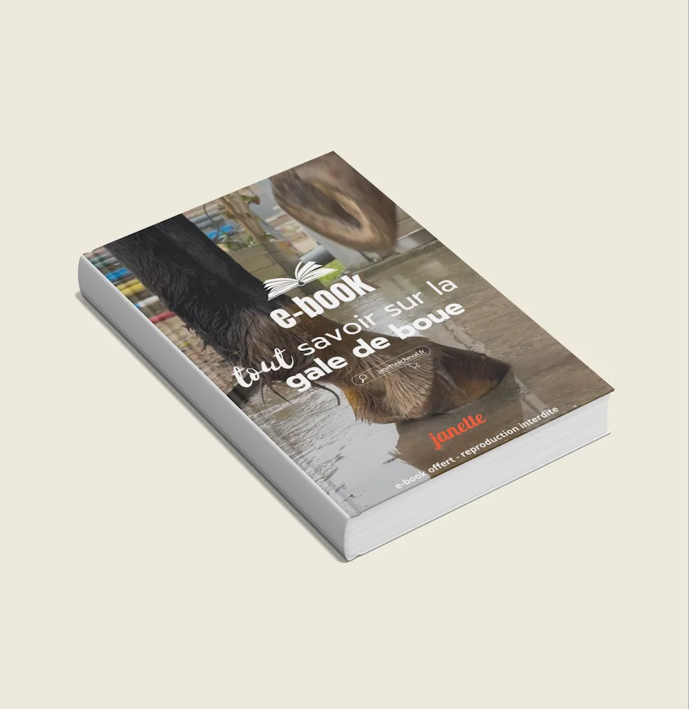 Le guide pour tout savoir sur la gale de boue 100 % gratuit !